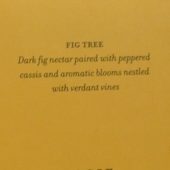 NIB - Anthropologie - Marcello Velho Catwalk Candle Gift Set - Picture 7 of 7